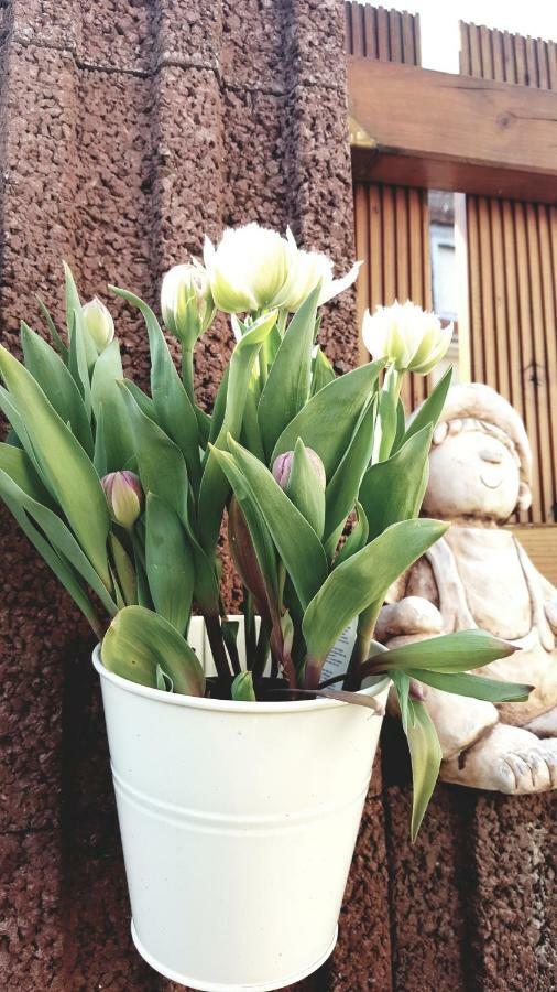 Ferienwohnung Otschik Glan-Munchweiler ภายนอก รูปภาพ